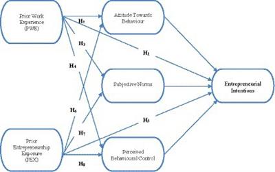 Prior entrepreneurship exposure and work experience as determinants of entrepreneurial intentions among South African university of technology students